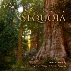 Pochette American Soundscapes: Sequoia