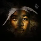 Pochette BasedGod Velli