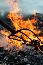 Pochette Weepeth by the Holy Fire