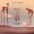 Pochette Prophecy Remixes