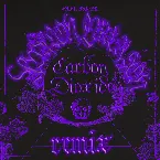 Pochette Carbon Dioxide (Avalon Emerson remix)