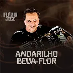 Pochette Andarilho Beija Flor