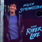 Pochette The River Live