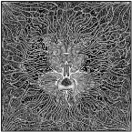 Pochette Whoresnation / Chappa'ai