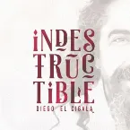 Pochette Indestructible