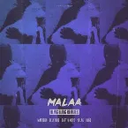 Pochette Bling Bling Remixes