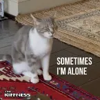 Pochette Sometimes I'm Alone (Lonely Cat)
