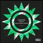 Pochette Drop It (Mason Maynard remix)