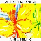 Pochette A New Feeling