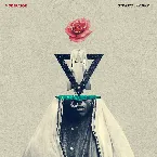 Pochette Sinner’s Syndrome