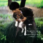 Pochette Tomorrow’s Just Another Day