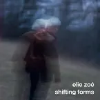 Pochette Shifting Forms