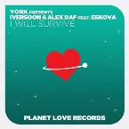 Pochette I Will Survive