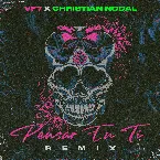 Pochette Pensar en ti (remix)
