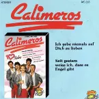 Pochette Ich gebe niemals auf dich zu lieben