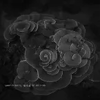 Pochette 咾咕厝 ló-kó͘-chhù - Penghu Experimental Sound Studio Vol.2