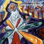 Pochette Boys in the Wood