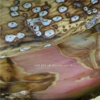 Pochette Reverberant Skies