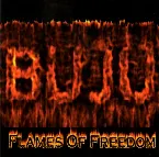 Pochette Flames of Freedom