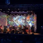 Pochette Fuzz Fest 2021