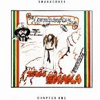 Pochette Commandments of Dub