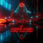 Pochette The Upside Down