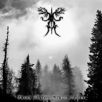 Pochette Through the Mist Forgotten by Time