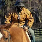 Pochette From the Horse’s Mouth