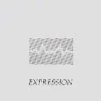 Pochette Expression