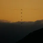 Pochette theme01 Niraikanai