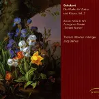 Pochette Die Werke für Violine und Klavier, Vol. 2