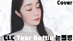 Pochette 눈물병