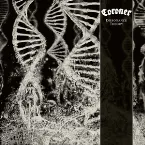 Pochette Dissonance Theory