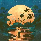 Pochette Through the Unknown