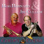 Pochette Cornet Copia