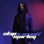 Pochette In Our Sight