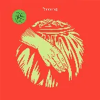 Pochette Running (Shed remix)