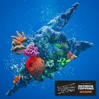Pochette Ocean