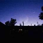 Pochette Moonshooter