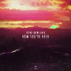 Pochette How You've Been