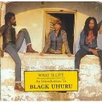 Pochette What Is Life: An Introduction to Black Uhuru