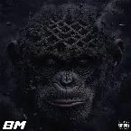 Pochette Bonne Mentale