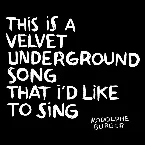 Pochette This Is a Velvet Underground Song That I’d Like to Sing