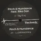 Pochette Big Slug / Lucid Dreaming