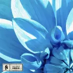 Pochette Let It Bloom
