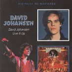 Pochette David Johansen / Live It Up