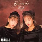 Pochette 愛が止まらない 〜Turn It Into Love〜