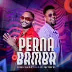 Pochette Perna bamba