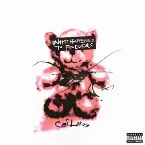 Pochette What Happened To Forever?
