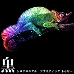 Pochette シロクロニクル